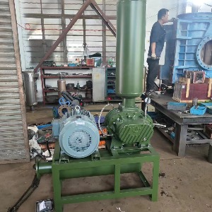 防爆液冷型羅茨風(fēng)機(jī)